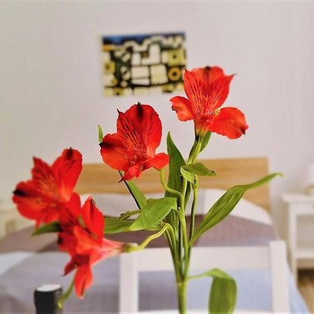 Prijeko Relax Apartment ドゥブロブニク エクステリア 写真