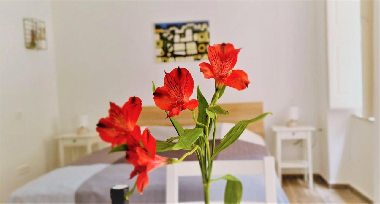Prijeko Relax Apartment ドゥブロブニク エクステリア 写真